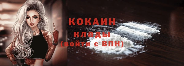 сатива Арсеньев