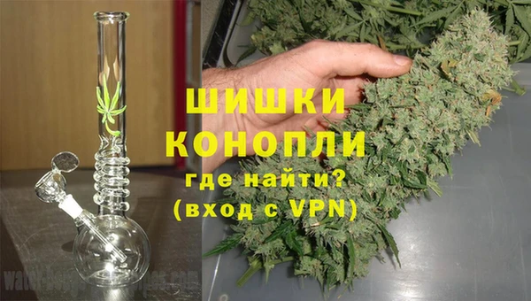 сатива Арсеньев