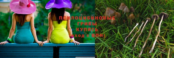 Альфа ПВП Баксан